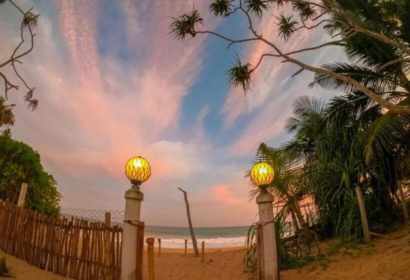 ホテル Blue Ocean Resort