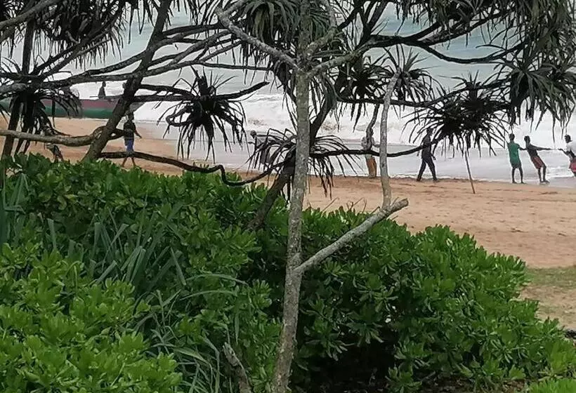 ホテル Blue Ocean Resort