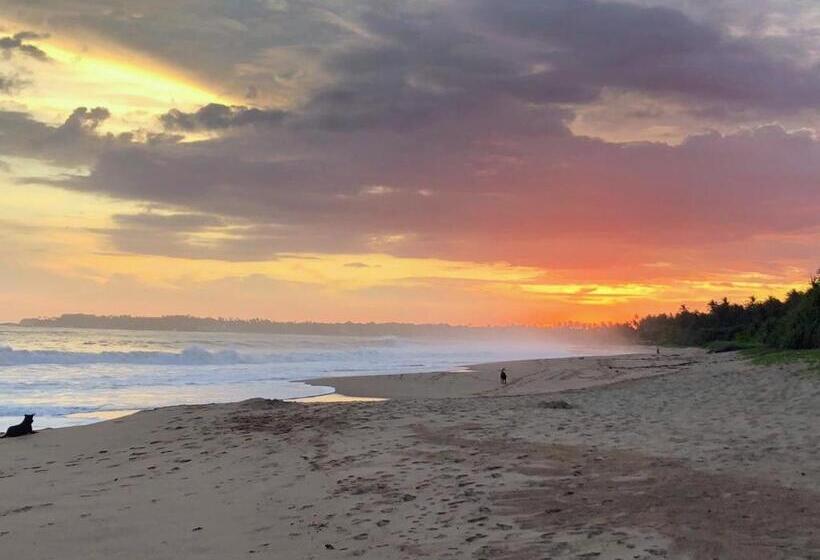 فندق Blue Ocean Resort