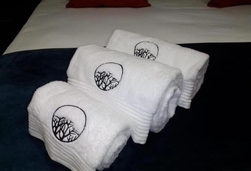 ホテル Sasavona Boutique