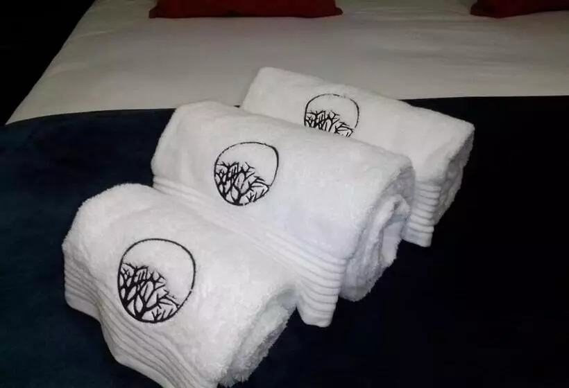 هتل Sasavona Boutique