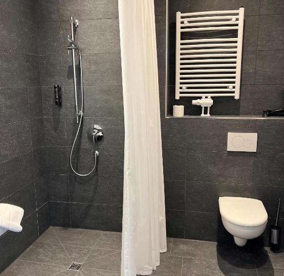 בית מלון כפרי Zeppelin