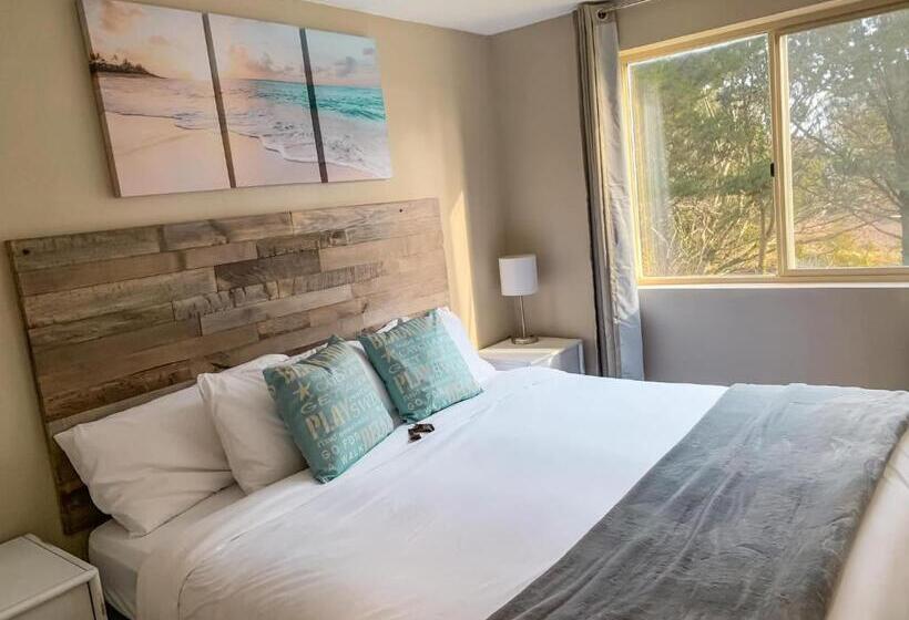 모텔 Arena Del Mar