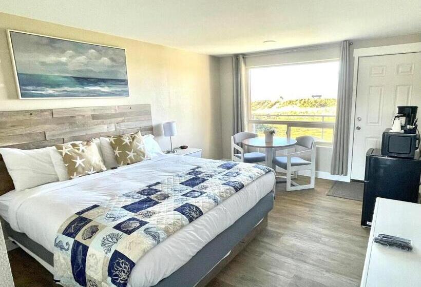 모텔 Arena Del Mar