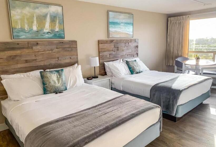 모텔 Arena Del Mar