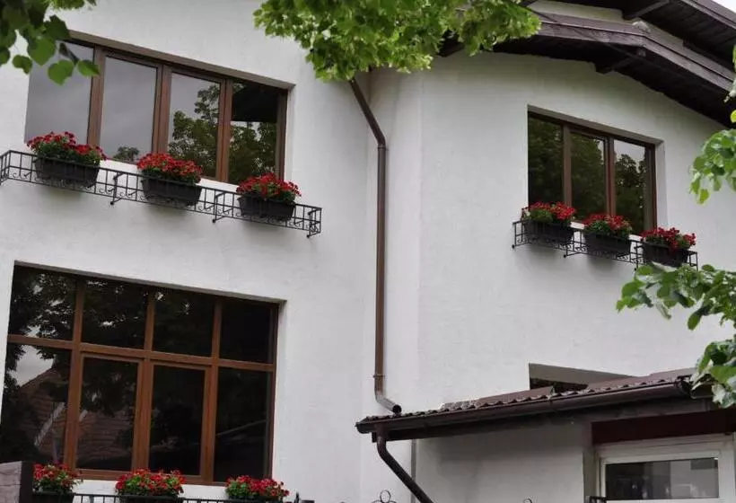 ペンション Casa Romaneasca