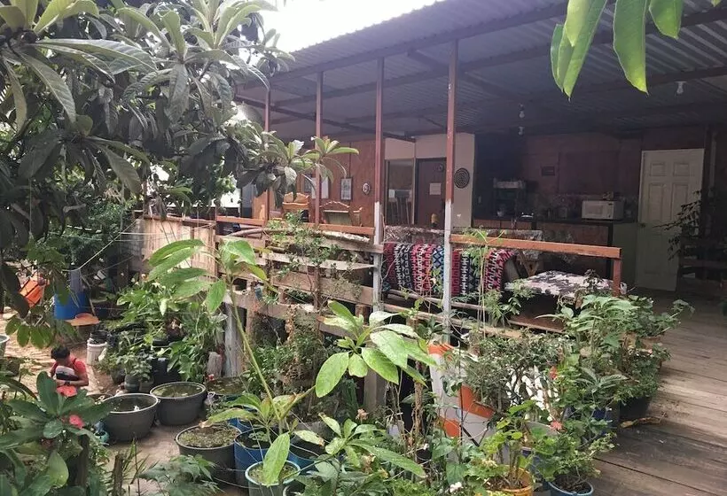هاستل La Casa Del Nenufar