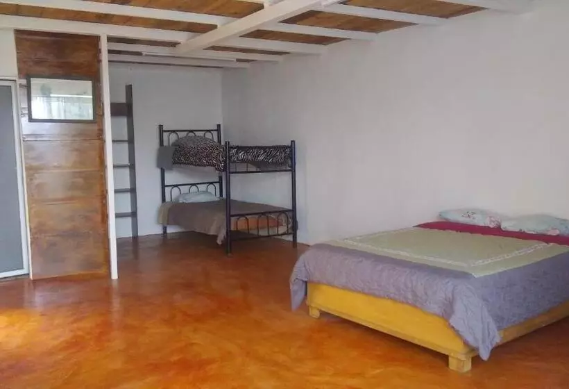 هاستل La Casa Del Nenufar