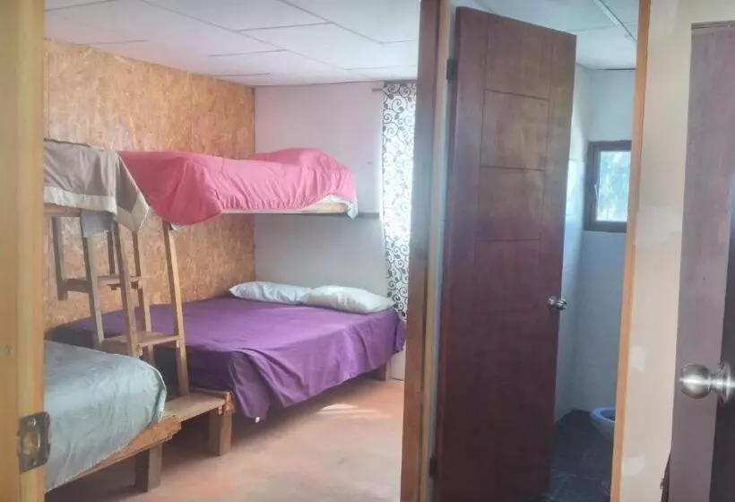 هاستل La Casa Del Nenufar