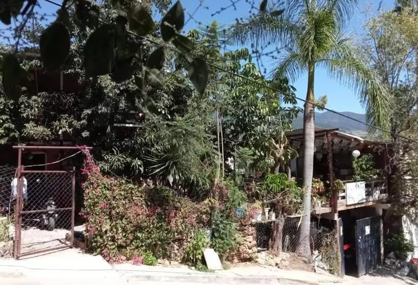 هاستل La Casa Del Nenufar