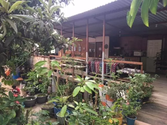 هاستل La Casa Del Nenufar