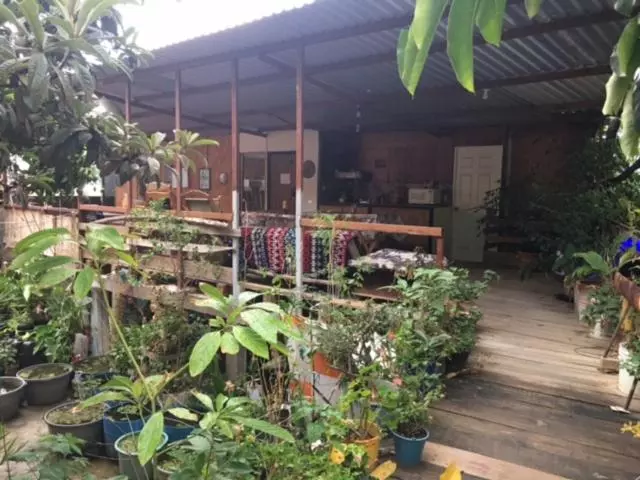 هاستل La Casa Del Nenufar