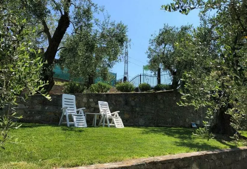 تختخواب و صبحانه Casa Vacanze Uliveto