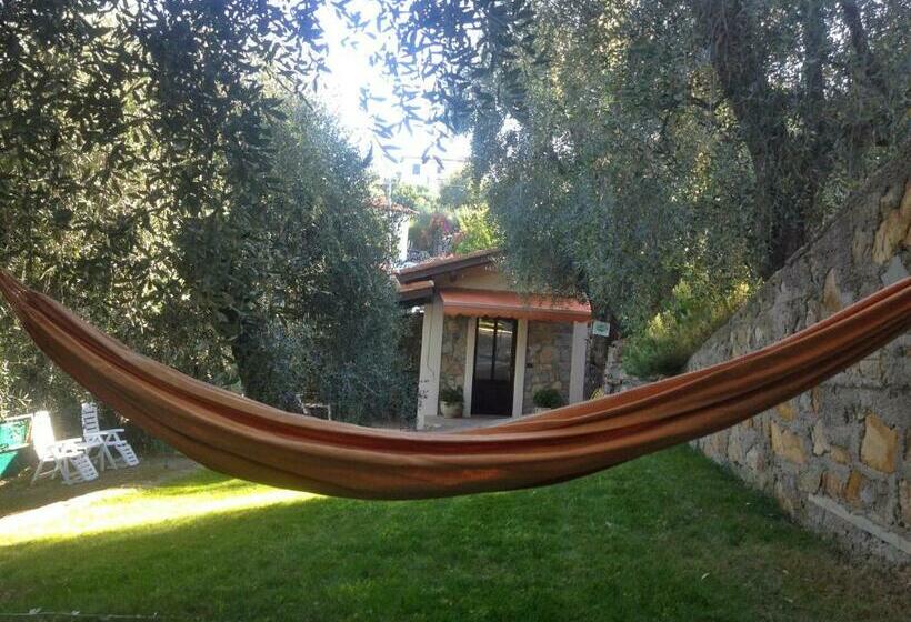 تختخواب و صبحانه Casa Vacanze Uliveto