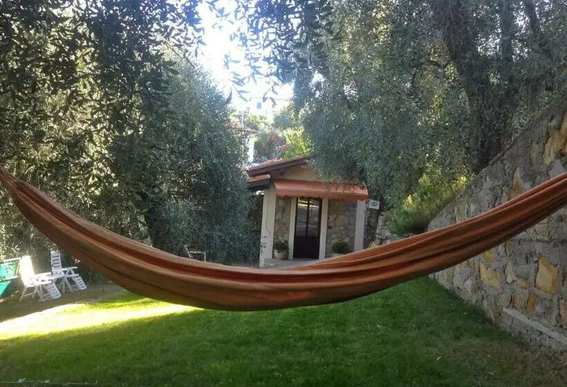 تختخواب و صبحانه Casa Vacanze Uliveto