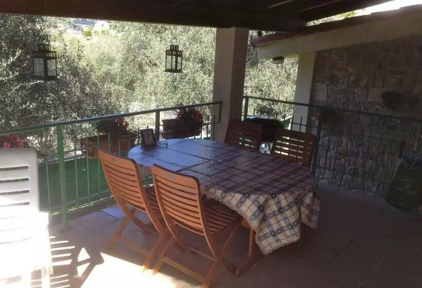 تختخواب و صبحانه Casa Vacanze Uliveto