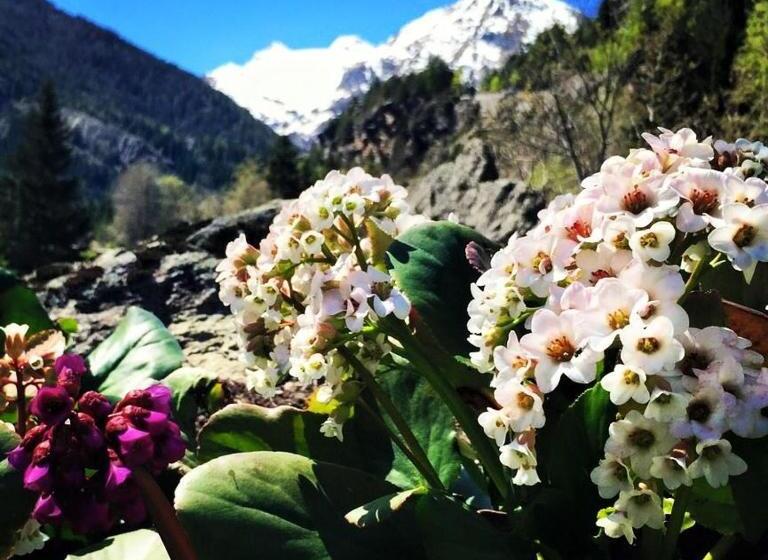 B&b Lo Djoua De Toueno