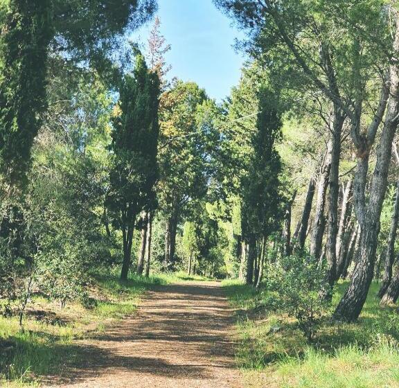 Bed and Breakfast Janas Country House