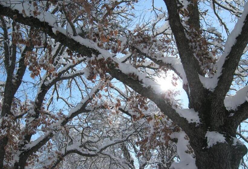 ホテル Fattoria Sos Astores