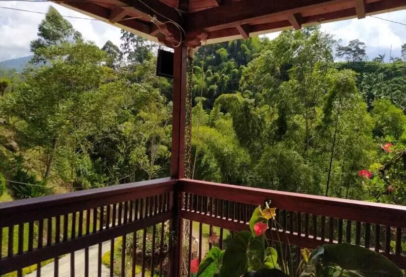 ホテル Orillas Del Pizano