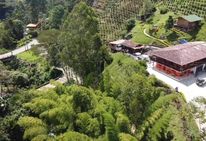 ホテル Orillas Del Pizano