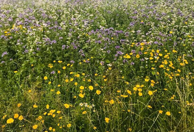 Пансион Hausamhafen Bremerhaven Geestland