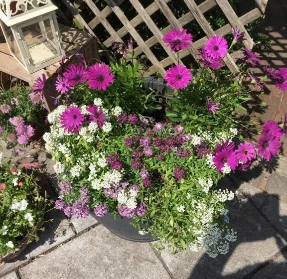 Majatalo Hausamhafen Bremerhaven Geestland