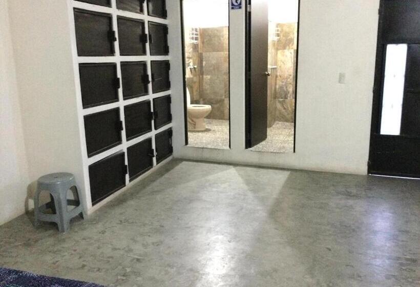 Trotamundo Oaxaca Hostel