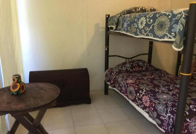 Trotamundo Oaxaca Hostel