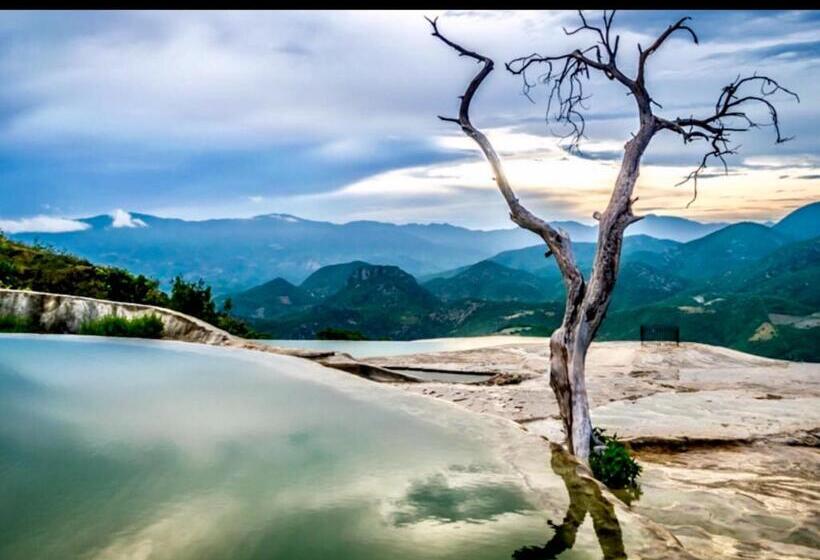 Trotamundo Oaxaca Hostel
