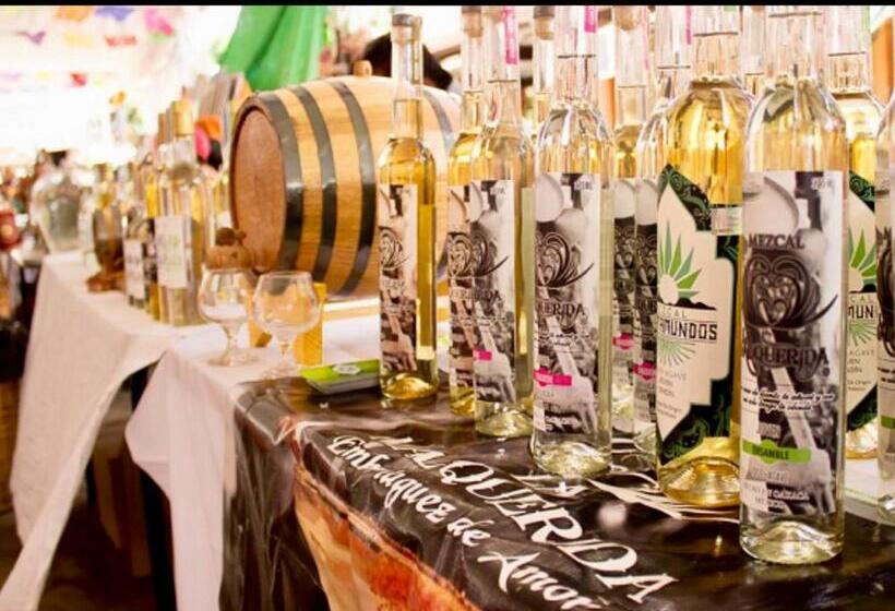 Trotamundo Oaxaca Hostel