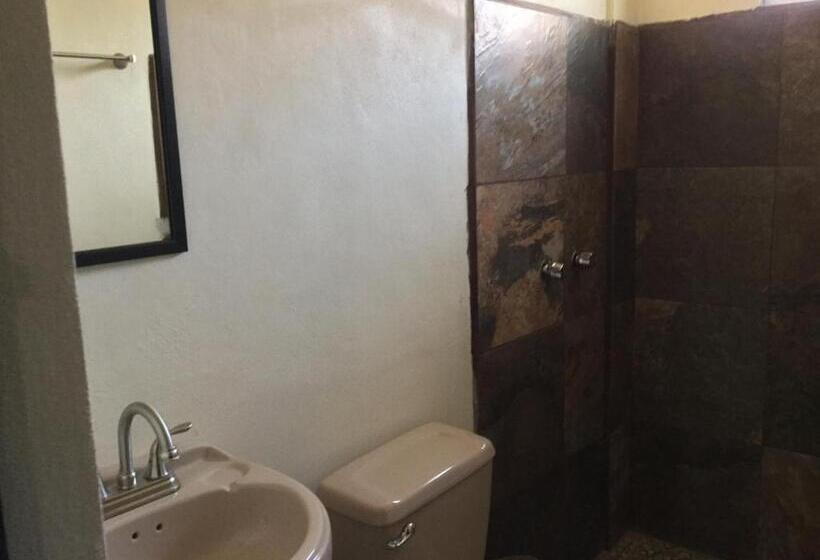 Trotamundo Oaxaca Hostel