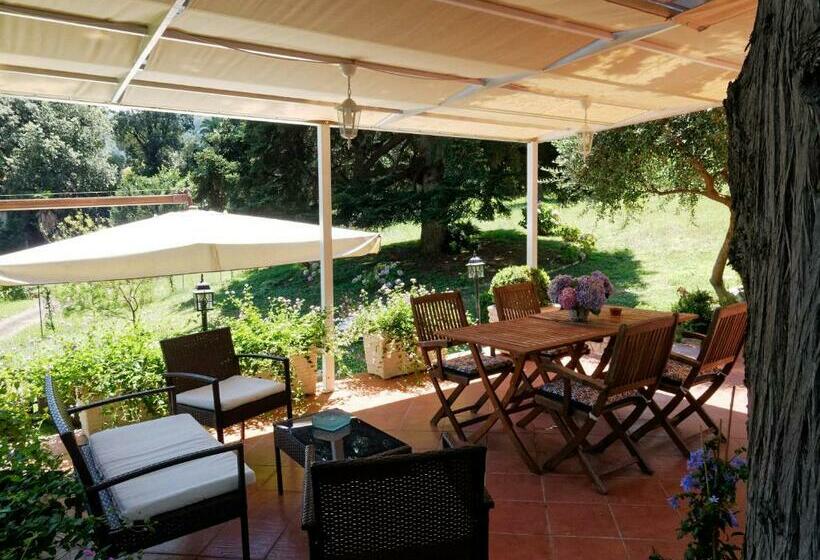 Bed and Breakfast Du Parc Boutique Home