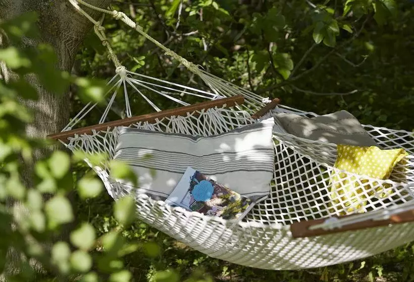 Aamiaismajoitus (B&B) Au Coin Des Figuiers