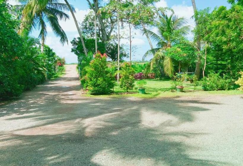 تختخواب و صبحانه Birds View