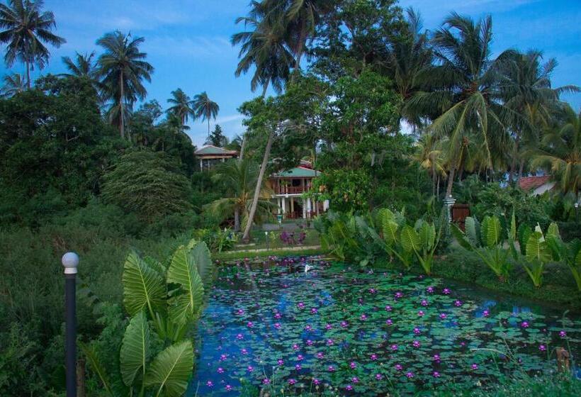 تختخواب و صبحانه Birds View