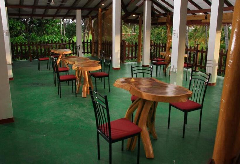 تختخواب و صبحانه Birds View