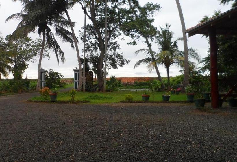 تختخواب و صبحانه Birds View