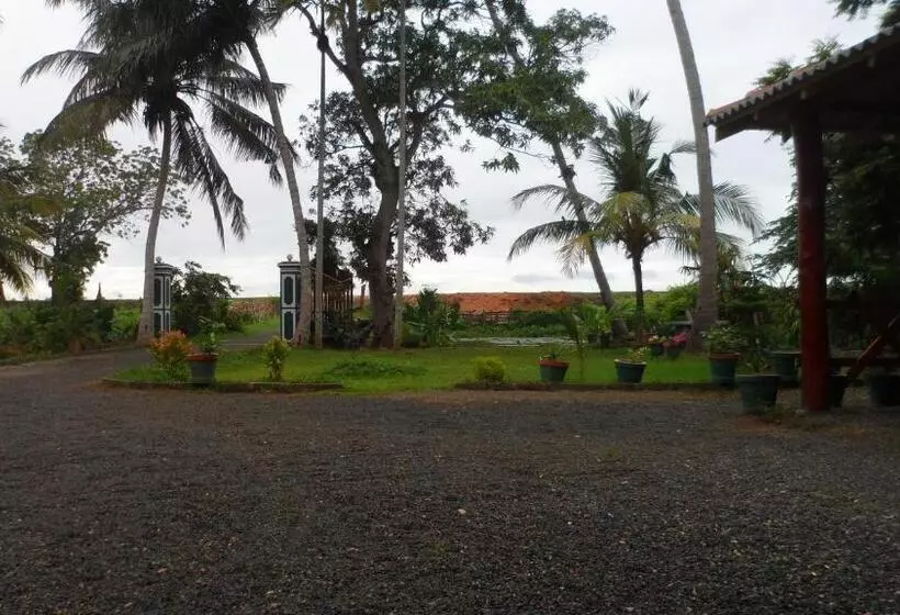 Aamiaismajoitus (B&B) Birds View