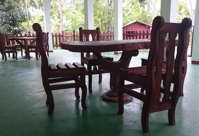 تختخواب و صبحانه Birds View