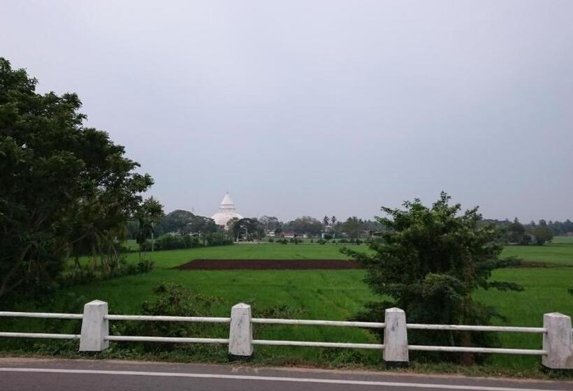 تختخواب و صبحانه Birds View