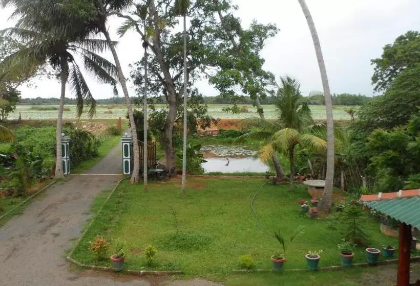 Aamiaismajoitus (B&B) Birds View