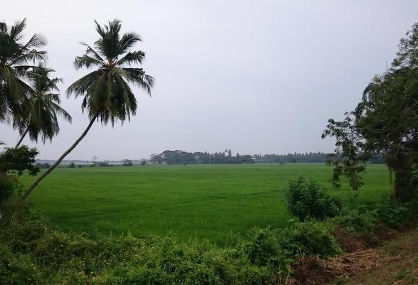 تختخواب و صبحانه Birds View