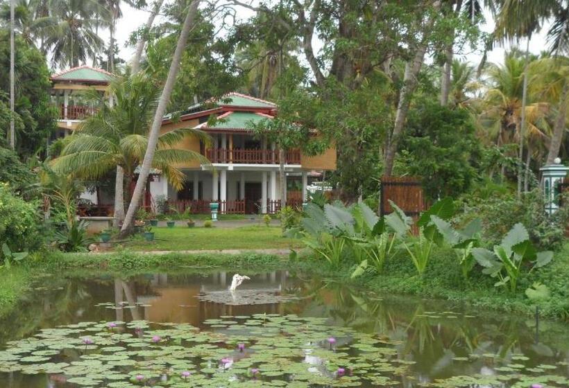 تختخواب و صبحانه Birds View