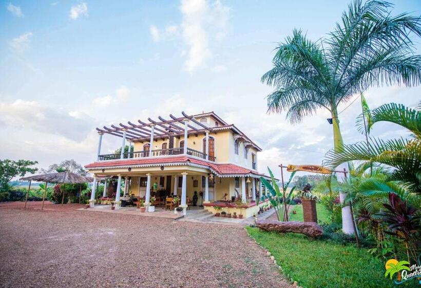 Bed and Breakfast Moradia Dos Quadros