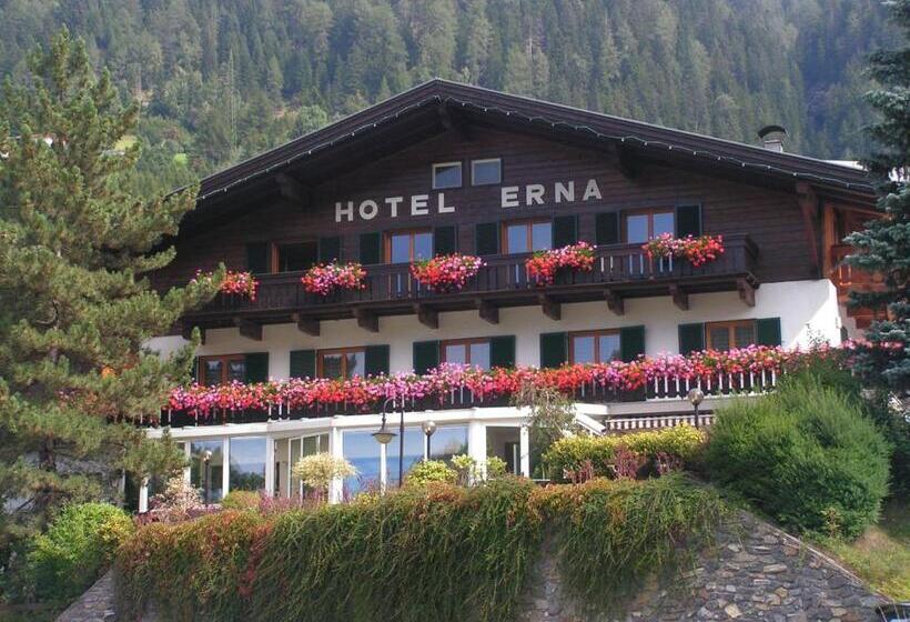 בית מלון כפרי Erna