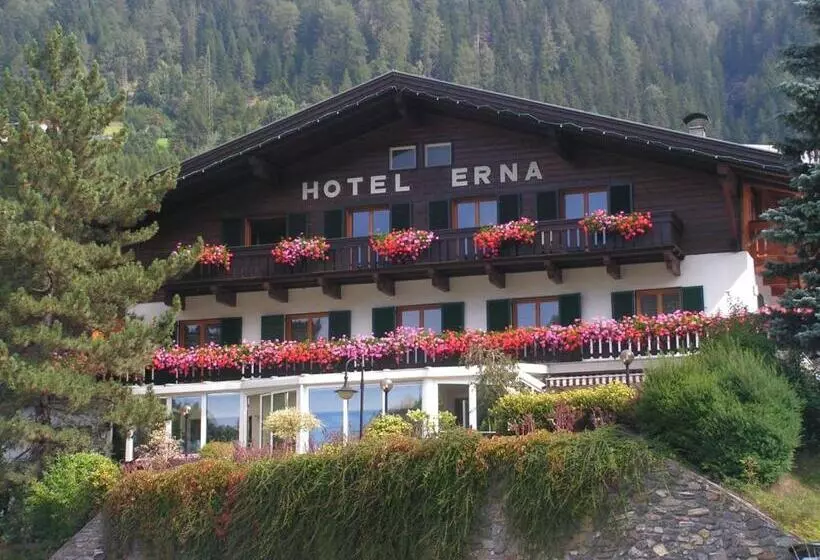 Hotelli Erna