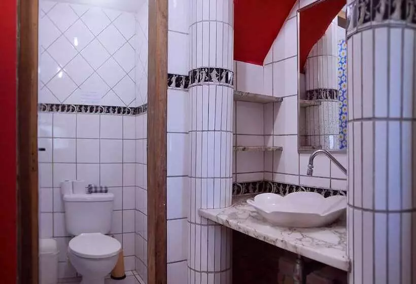 پانسیون Golfinho Tropical Hostel E Pousada