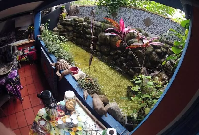 پانسیون Golfinho Tropical Hostel E Pousada