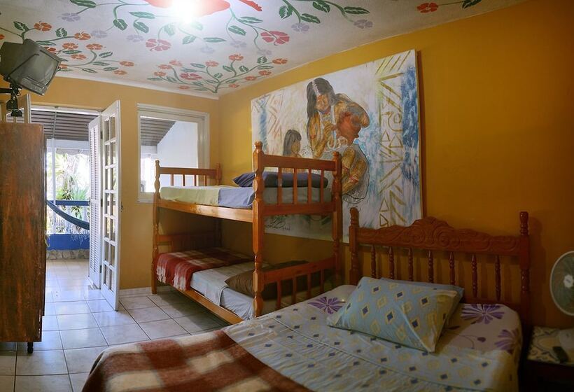 ペンション Golfinho Tropical Hostel E Pousada